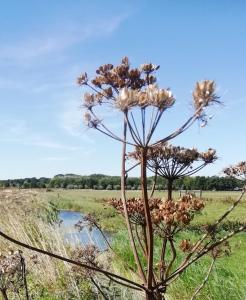 Pat 19 Wat is ons polderlandschap toch mooi